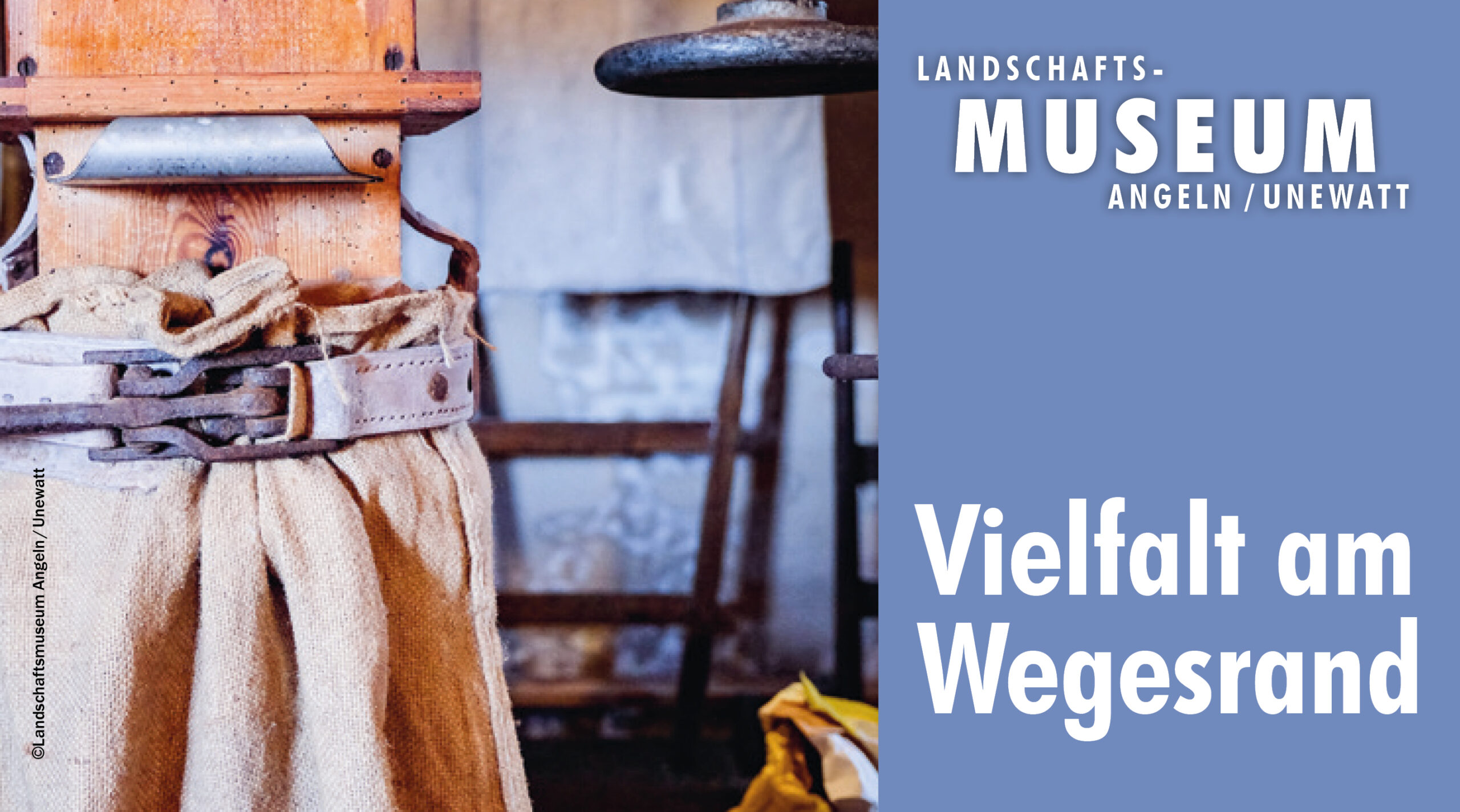 Vielfalt am Wegesrand
