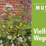 Vielfalt am Wegesrand