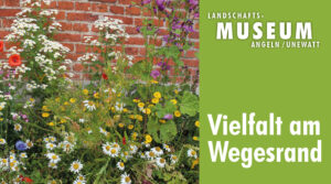 Biodiversität