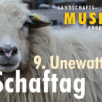 9. Unewatter Schaftag