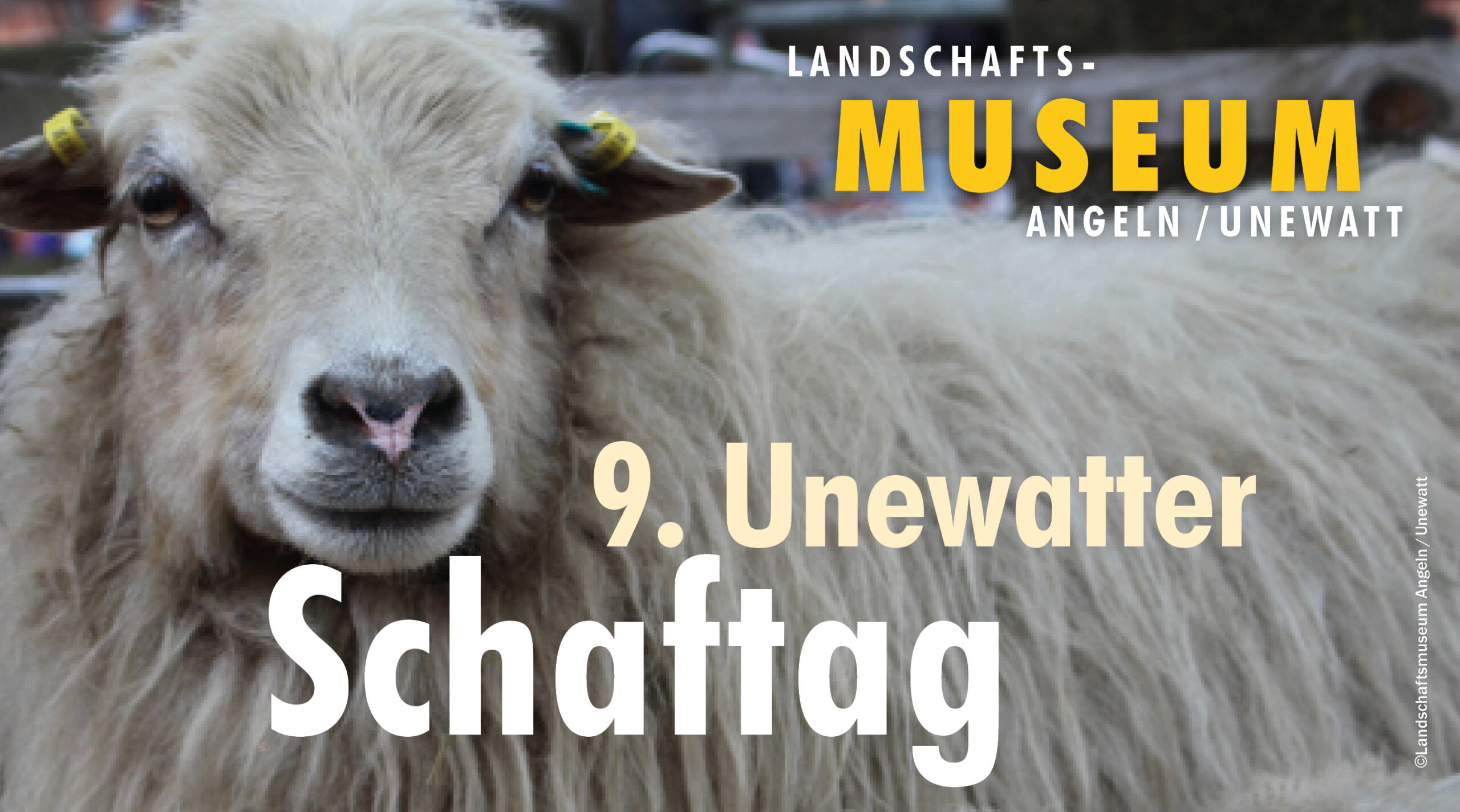 9. Unewatter Schaftag