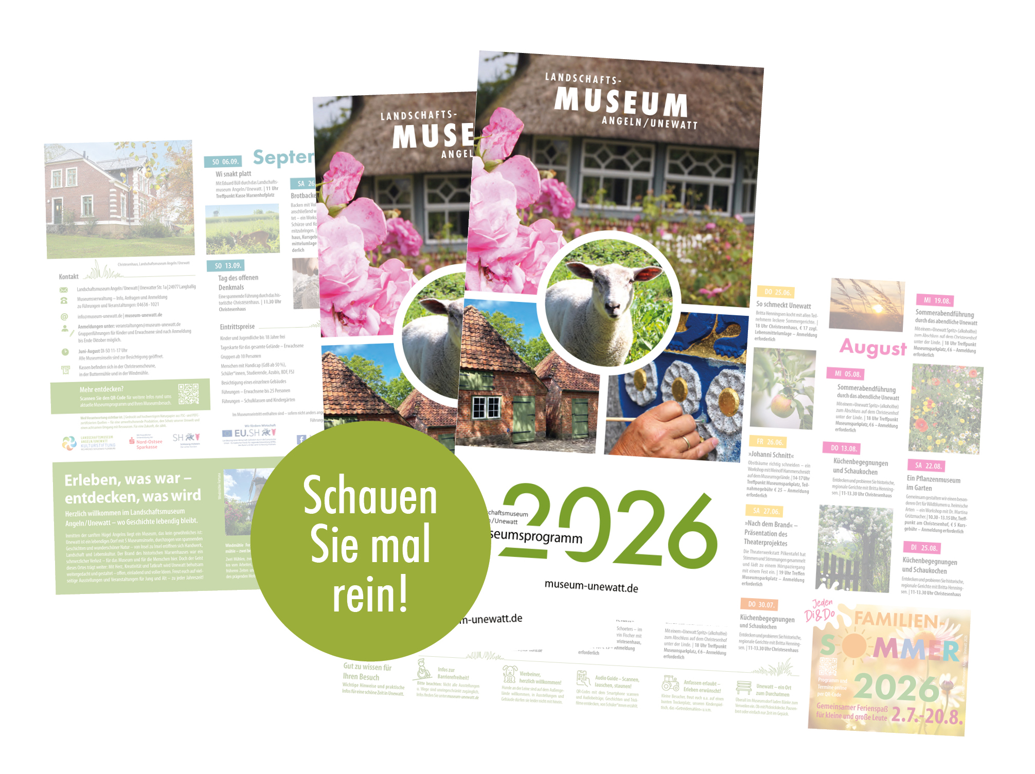 Programm