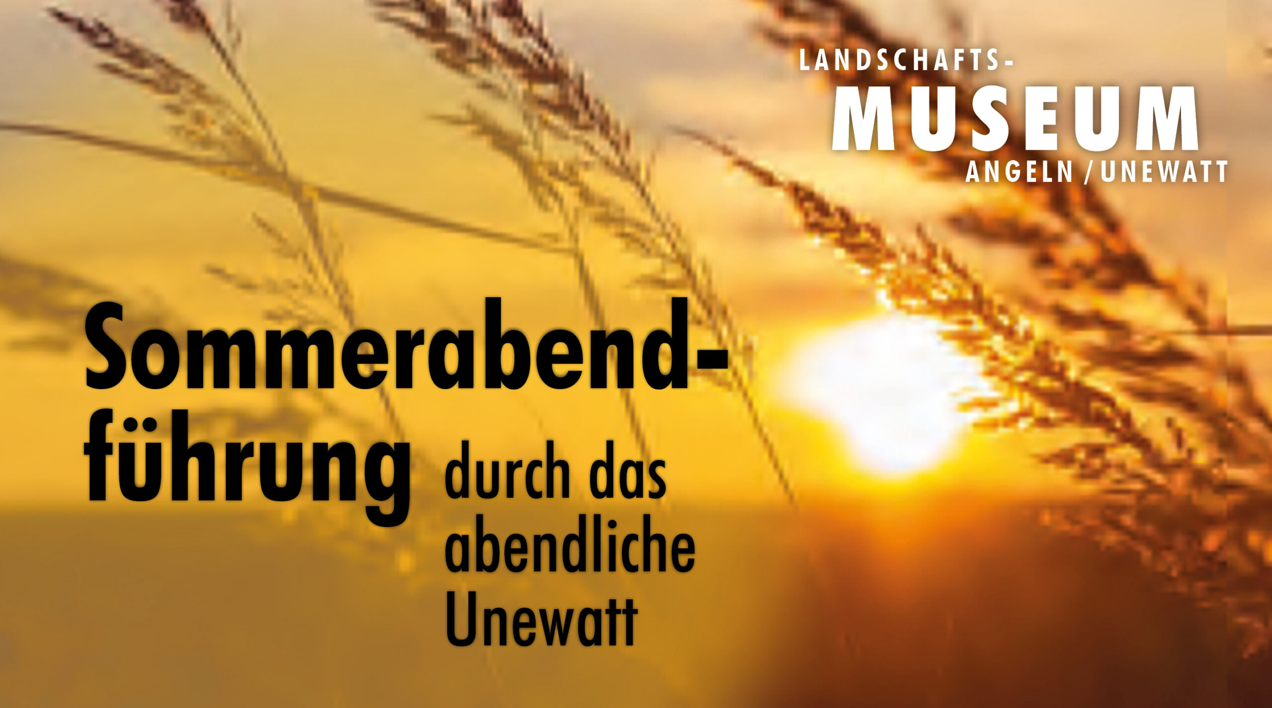 Sommerabendführung durch das abendliche Unewatt