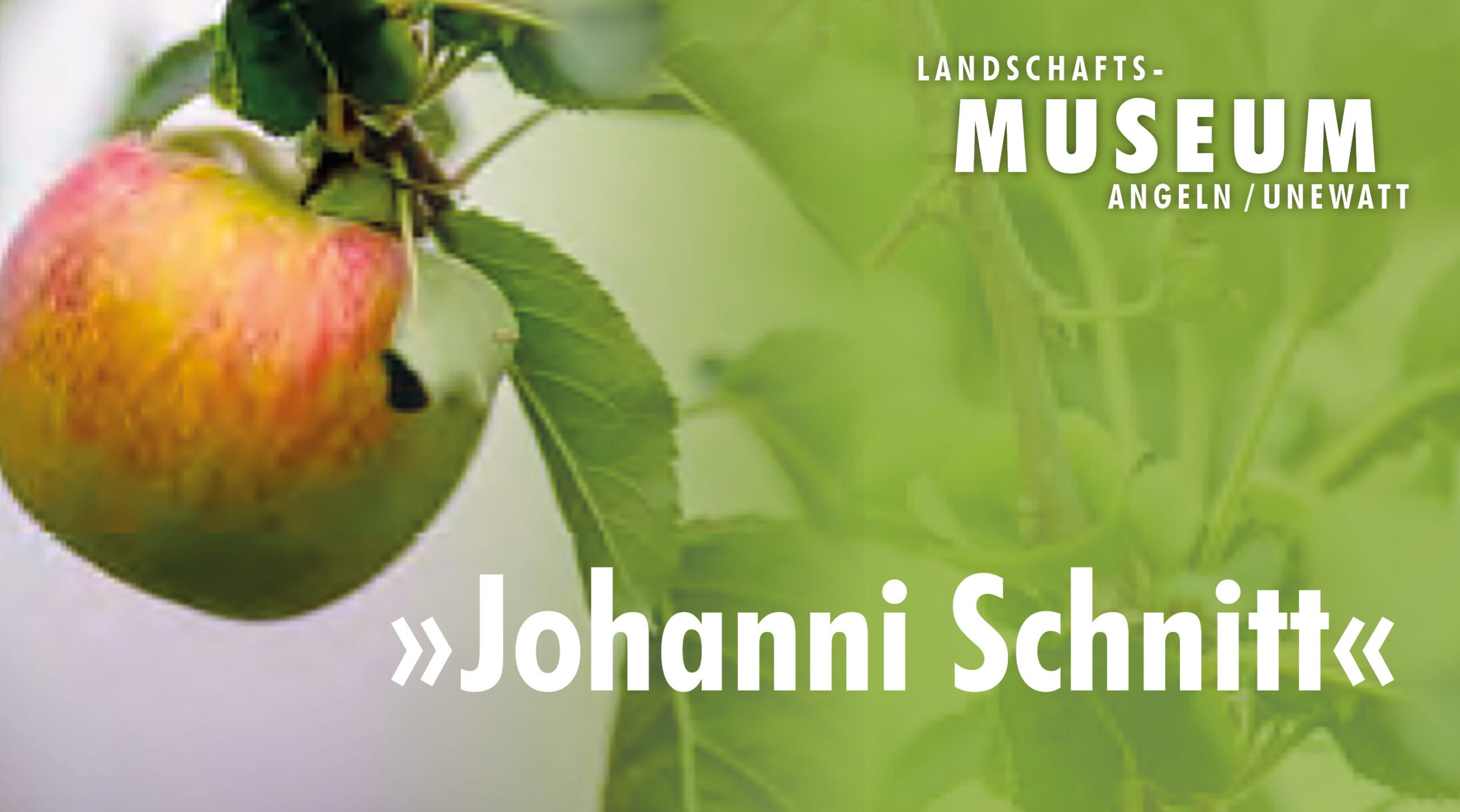 »Johanni Schnitt«