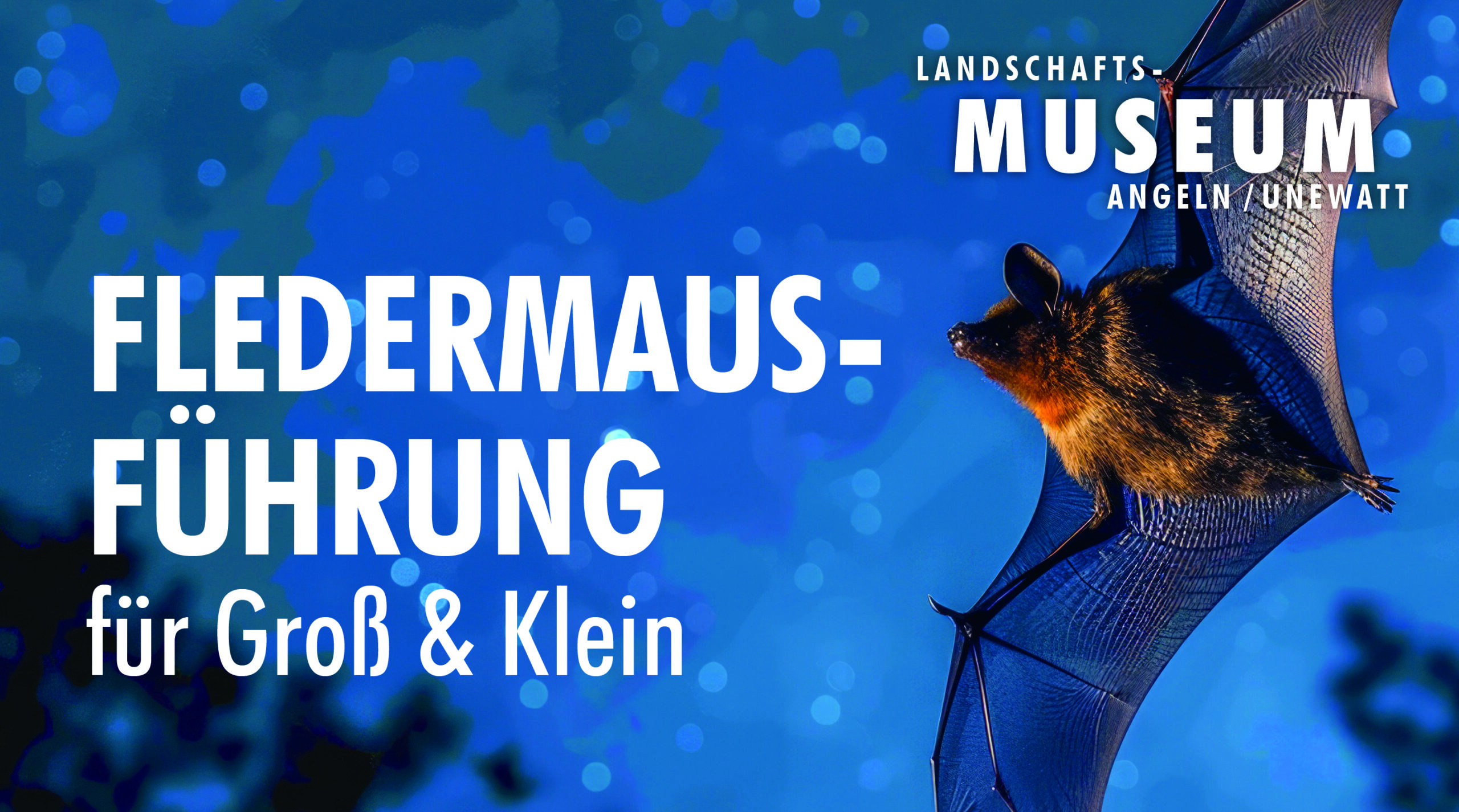 Fledermaus-Führung für Groß & Klein