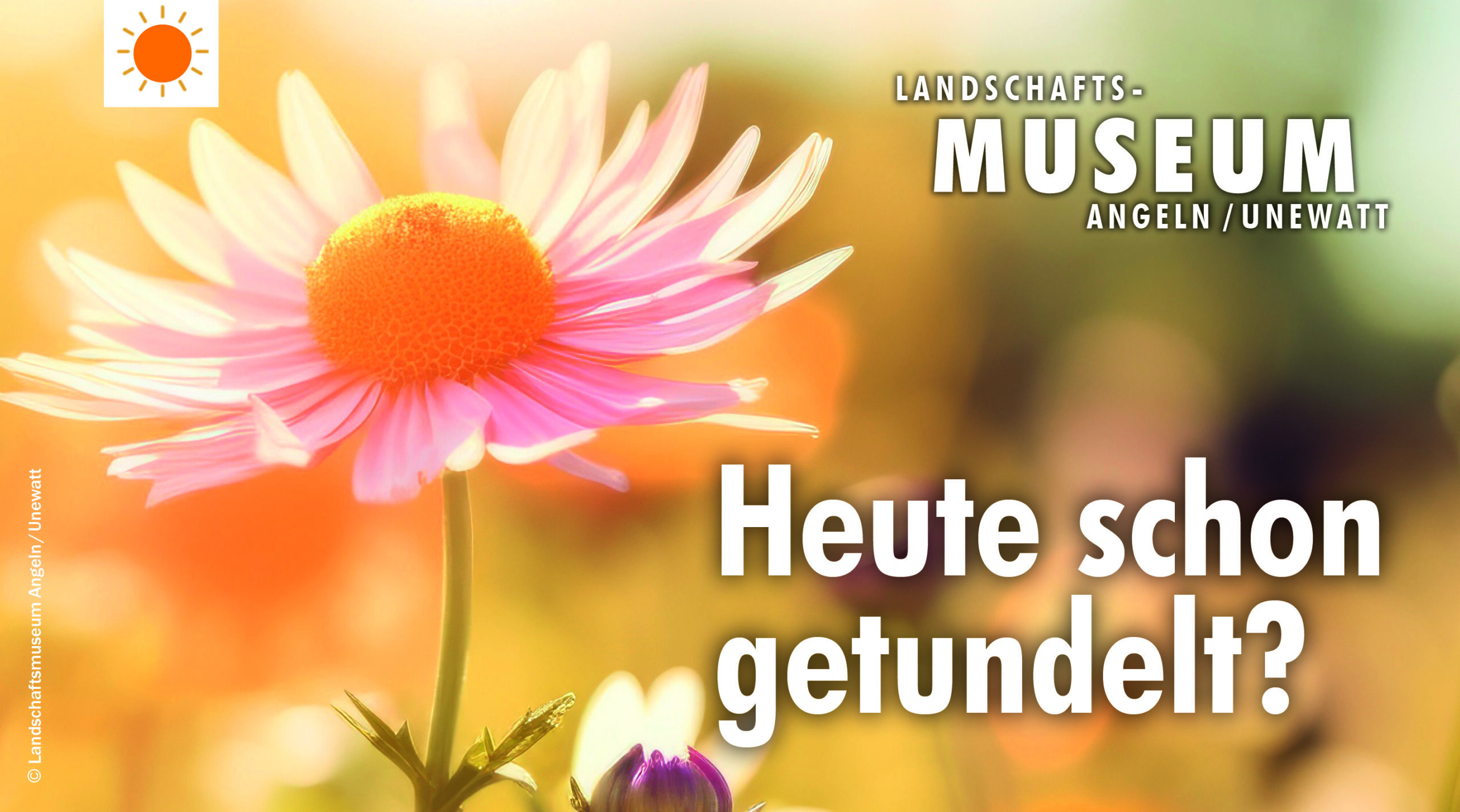 Familiensommer - Heute schon getundelt?