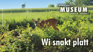 Wi snakt platt